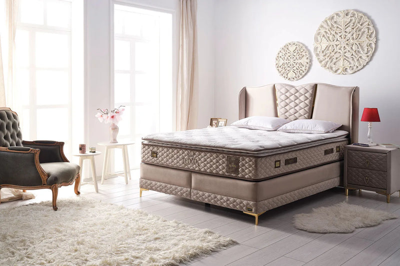 Luxia Bed Set (Mattress + Base + Headboard)