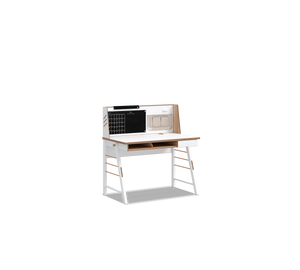 Modera Modern Desk (with unit)