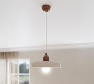 Lapel Ceiling Lighting