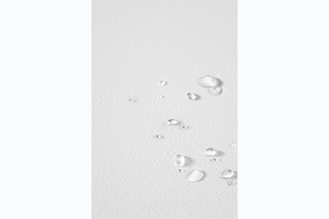 Profera – Coprimaterasso Impermeabile Fitted (Bambi)