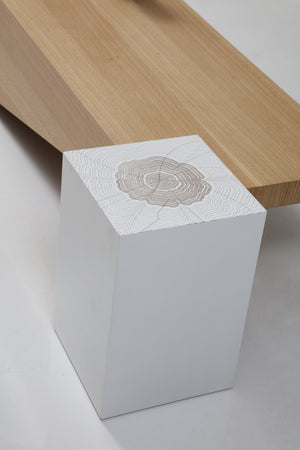 Tavolino da salotto Pablo – Rovere