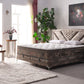 Multisleep Set (160x200 cm)